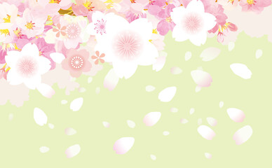 桜の舞う　背景イラスト素材