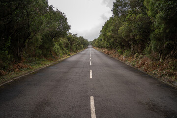 Madeira mountain landscape