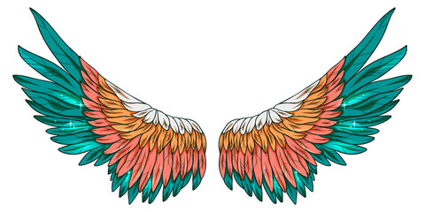 Beautiful green orange wings, color vector illustration