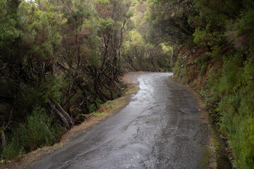 Fototapeta na wymiar Madeira mountain landscape
