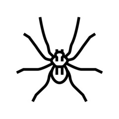spider insect line icon vector. spider insect sign. isolated contour symbol black illustration