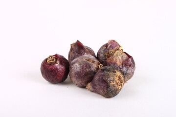 Bulbs of hyacinths on a white background.