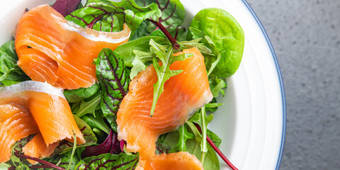 salad salmon slices green salad mix seafood fresh portion dietary healthy meal food diet snack on the table copy space food background keto or paleo  vegetarian food no meat pescatarian diet