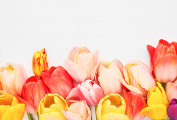 Border of bright colorful tulips on a white wooden background. Copy space for text, flat lay