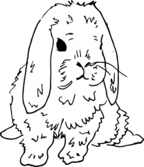 Little bunny vector hand drawn 