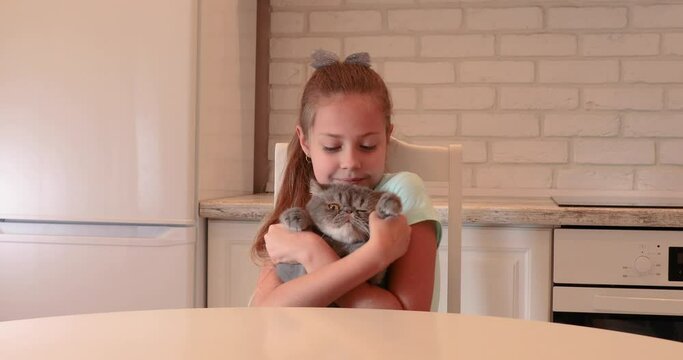 Beautiful little curly girl with a cat in her arms. little girl and a sweet cat. child and pet friendship