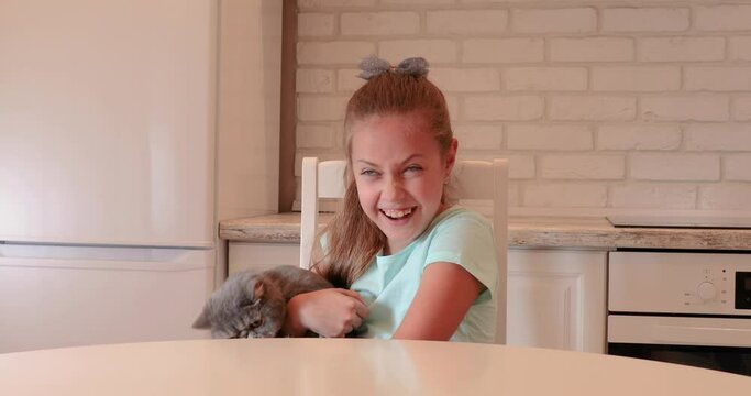 Beautiful little curly girl with a cat in her arms. little girl and a sweet cat. child and pet friendship
