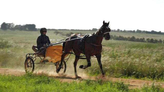 Slow-mo of harness horse running