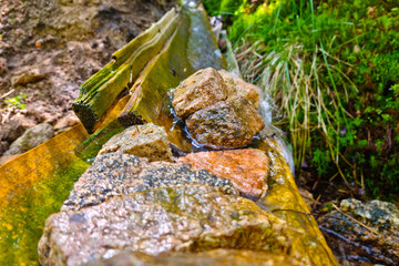 Fototapeta na wymiar A stream flows through the rocks and a wooden trough in the forest.