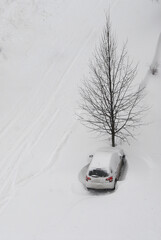 The car is bumped up against a tree, blocked in a large snowdrift. Traffic problem in winter. Background. Top view.
