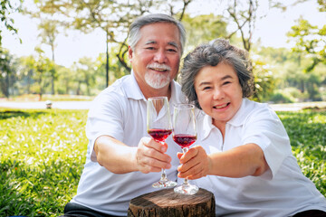 Happy elderly couple health care in park , relax asian older man and woman celebrate anniversary drink wine and smile ,People lifestyle concept.