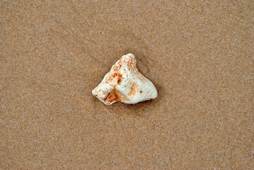 Close Up of Isolated Stone on Sandy Beach with Water Pattern