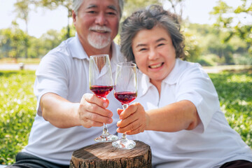 Happy elderly couple health care in park , relax asian older man and woman celebrate anniversary drink wine and smile ,People lifestyle concept.