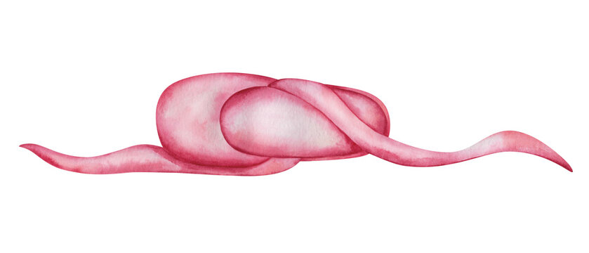 Watercolor illustration of hand painted pink ballet dance shoe with long laces. Ballerina toeshoe in dance studio. Isolated on white clip art element for children fabric textile prints, poster