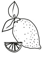 lemon and slice hand drawing black and white for textile or paper print or coloring