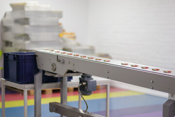 Line for the production of chocolate in an industrial factory. Automatic process in the production line of sweets. Images from the chocolate factory during production. Conveyor belt with sweets.