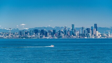 Fototapeta premium creative