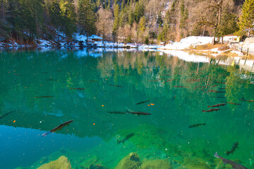Blausee im Kandertal in der Schweiz