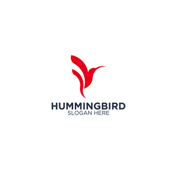 Hummingbird logo design vector logo design template