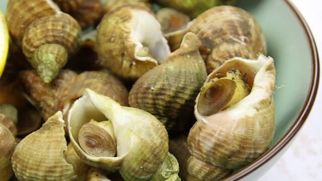 cooked whelks on a plate with lemon on a table