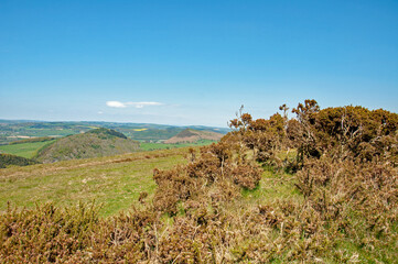 Rural scenery in Wales.