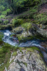 Wicklow Mountains National Park,  County Dublin, Ireland,  wandering around Wickolw Mountains lakes...