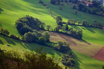 Rural landscape of France