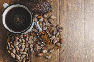 Hot cocoa drink or chocolate drink with cocoa powder and cocoa beans.