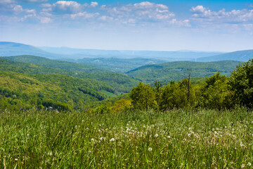 meadow and mountains