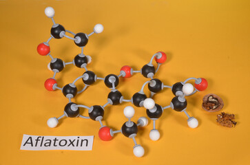 Molecule model og Aflatoxin B1, with sample of fungus attacked walnuts. Red is Oxygen, black is caron and white hydrogen.