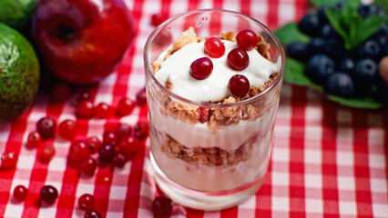 cranberries on top of fresh yogurt with granola