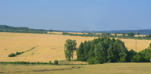 Fototapeta na wymiar Russian field, plain, space, beautiful landscape, countryside,