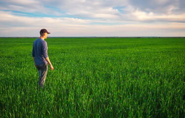 Naklejka na ściany i meble Handsome farmer. Young man walking in green field. Spring agriculture.