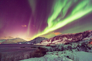 Fototapeta na wymiar Aurora in Norway, chased on the islands around Tromsø， the city in arctic pole
