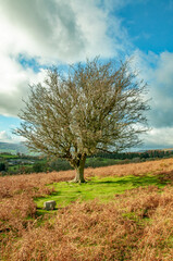 Scenery around the hills of Wales.