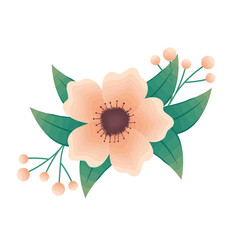 flower orange with seeds