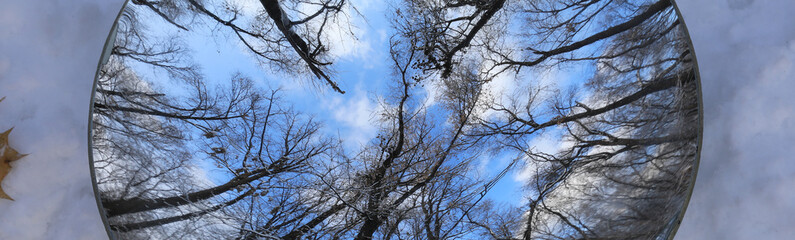 reflection in the mirror, winter forest