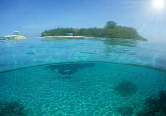 Fototapeta na wymiar underwater scene , paradise island , caribbean sea , venezuela