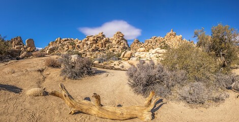 Joshua, nature, national park, california, rock, tree, park, us, beauty, countryside, blue, hill,...
