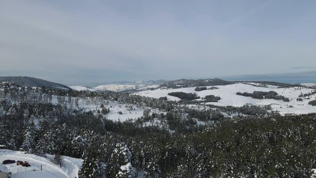 Aerial View of Idyllic Winter Landscape of Zlatibor Mountain, Pine Forest, Snow Capped Hills Under Tornik Peak, Serbia, Pedestal Drone Shot