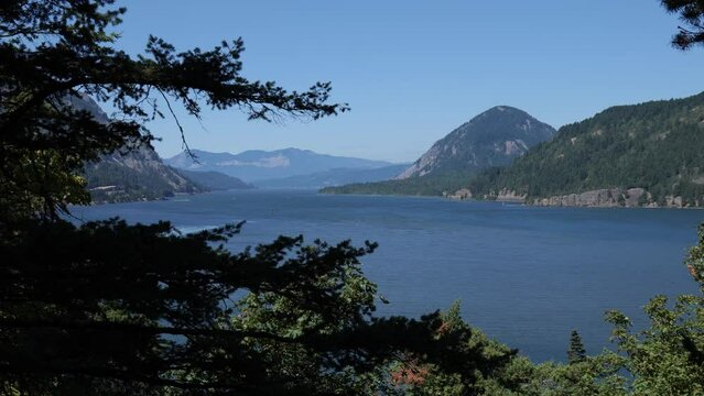 Columbia river at oregon looking west at mountains washington state framed by trees clear sky. a corner of the american landscape