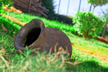 Small pot next to green vegetation