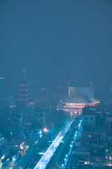 Obraz premium 雪に霞む浅草寺