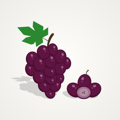 Tropical fruit set of grape fruit illustration on isolated background