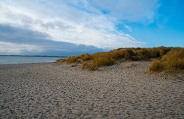 Strand und Dünenlandschaft an der Spitze des Lister Ellenbogens Insel Sylt