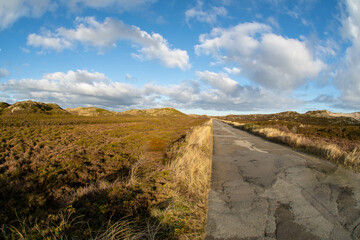 Strasse durch die Dünen und vorbei an den Wanderdünen in der Nähe von List Insel Sylt