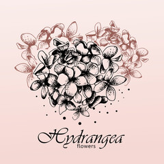 Saint Valentins day card. Hydrangea blossom