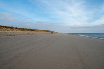 Obraz premium Paar geht spazieren am Strand vom Lister Ellenbogen im Winter Insel Sylt