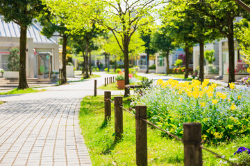 春の花が咲く住宅街　多摩ニュータウン