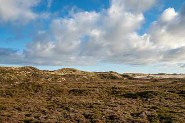 Dünen auf der Insel Sylt in der Nähe von List in der Abendsonne